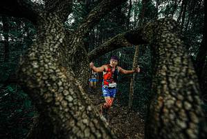 BIB: 
                            <button type="button" onclick="openModal(25687239)" class="btn btn-primary btn-sm float-right btn-popup" data-toggle="modal" data-target=".modal-high-quality">
                        <i class="fas fa-shopping-cart"></i> Add to Cart
                    </button>
                                            <button type="button" onclick="isThisMe(25687239, true)" class="btn btn-success btn-sm float-right btn-popup btn-isme hidden" data-toggle="tooltip" data-placement="bottom" title="นี่คือรูปของคุณใช่ไหม คลิกที่นี่เพื่อเอาเข้าอัลบั้ม">
                        <i class="fas fa-plus"></i> Add to album
                    </button>
                    <button type="button" onclick="isThisMe(25687239, false)" class="btn btn-warning btn-sm float-right btn-popup btn-isnotme hidden">
                        <i class="fas fa-ban"></i> Remove from album
                    </button>